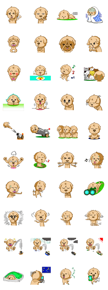 I like Golden Retriever!!