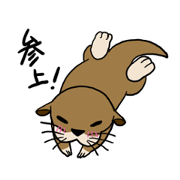 Something like otter
