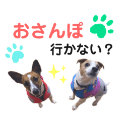 okapiyuzuhana10160721