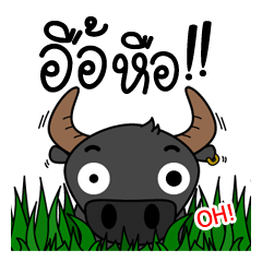 Buffalo boy (Silly animals stickers)