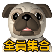 Innocent pug and friends