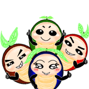 Ladybug family