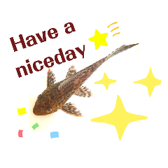 hikari_20200606192727