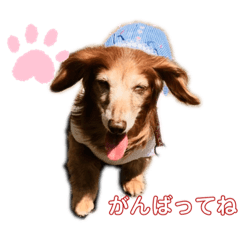 MiMi_20200606200450