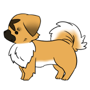 Tibetan Spaniel Sticker