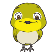 Taiwan birds