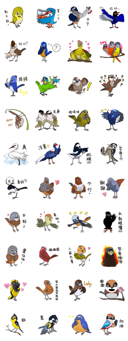 Taiwan birds