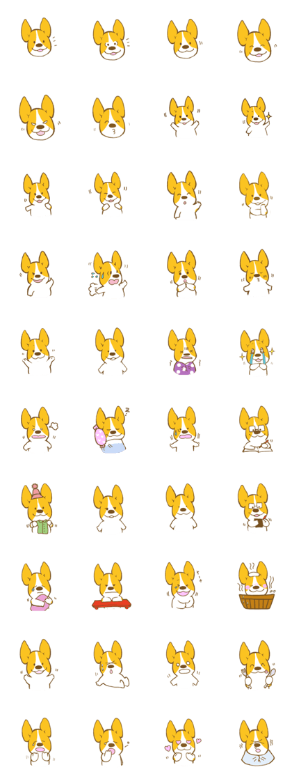 corgi taro