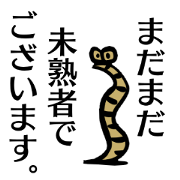 Nonbiri Mealworms