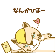 women of carnivorous cheetah(JP)