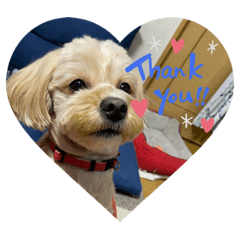 hdyegfkeusgfiehducjsiwofhfuwifjgydgwifje