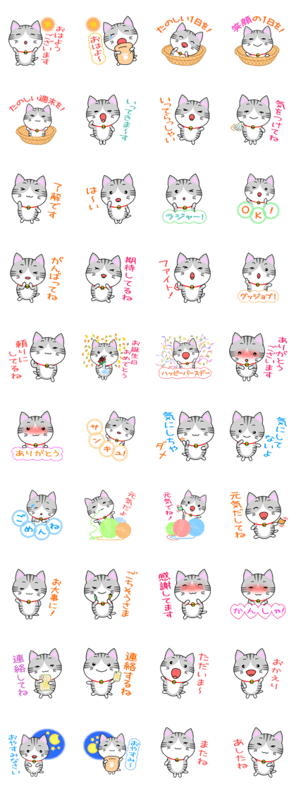 The kitty who  knows how to reply