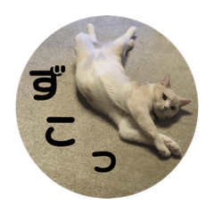 Saori_20200606201606