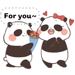 Popo & Poppy the Cute Pandas!