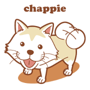 Shiba-Inu tyappie
