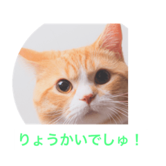 ken0312