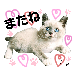 AYUMI_20200606195719