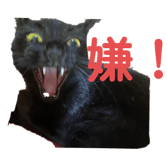 kurumi_20200606223732