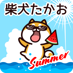 Shiba Takao in Summer