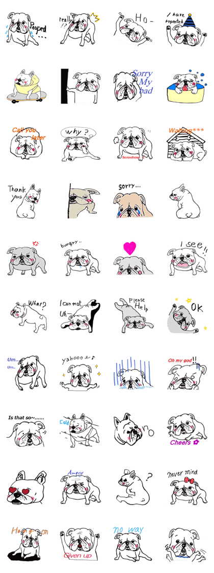 bulldog (english ver.)