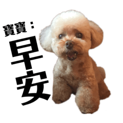 Bao Bao the Dog