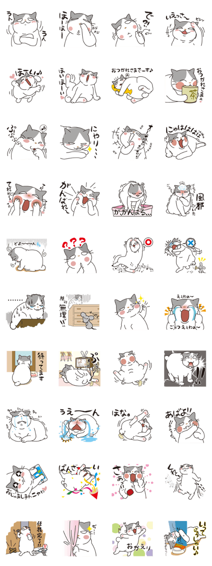 OBAKAWA cat C'eC.Second edition