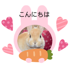 Rabbit-pon