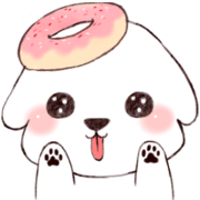 Funny Bichon