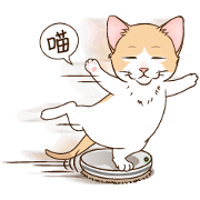 Cutee-small cat