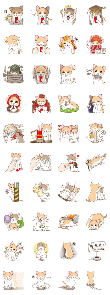 Cutee-small cat