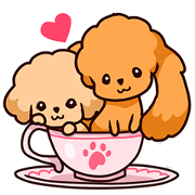 Story of seven colors Toy Poodle #2