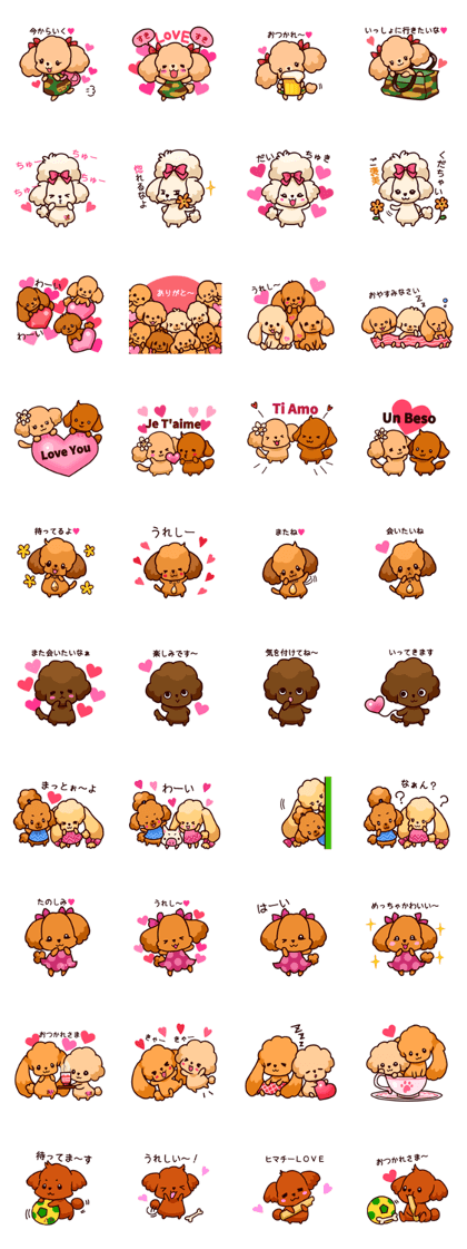 Story of seven colors Toy Poodle #2