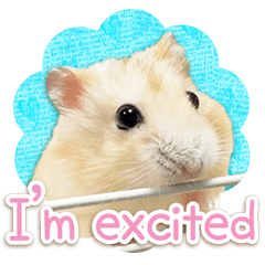 可愛いハムスターたち 英語 Line スタンプ Line Store 可愛いハムスターたち 英語 Line スタンプ Line Store