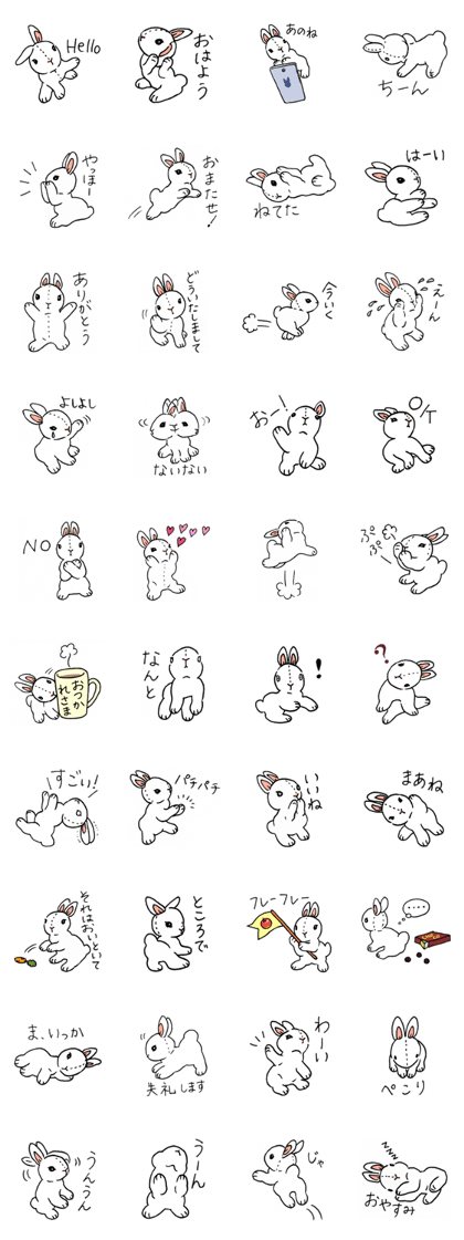 My Lovely White Bunny