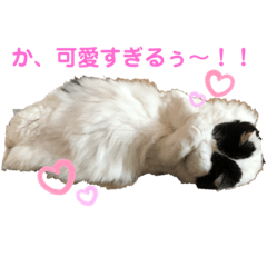 KOTETU.2020