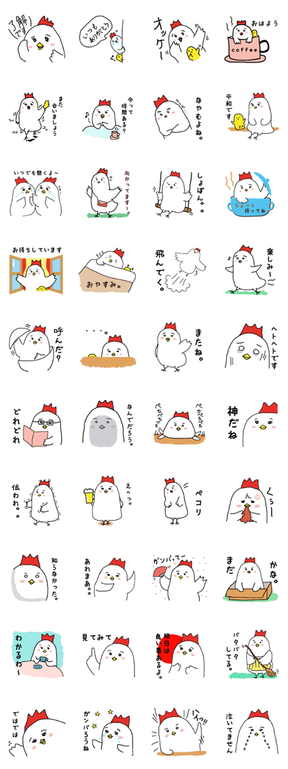 Mrs chicken bird