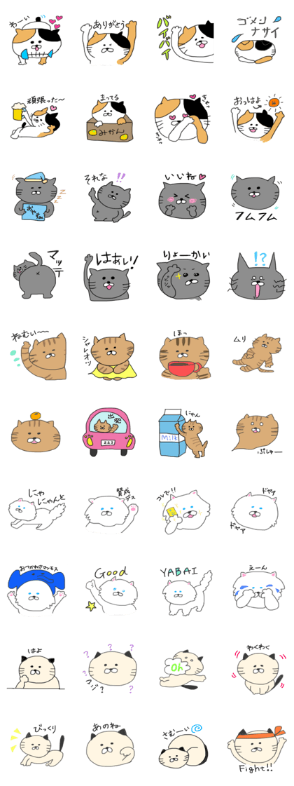 5 pretty cats