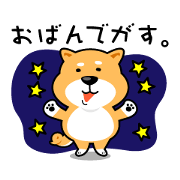 Daily Shiba Inu From SENDAI