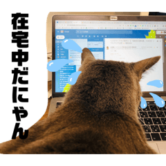 Bella_20200607022319