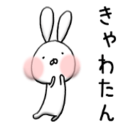 Funky Funky rabbit