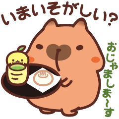 Capybara stickers2