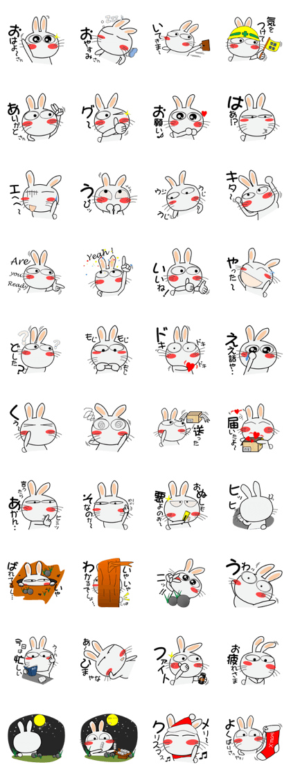 Always Cute Rabbit