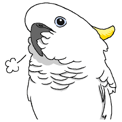 白いオウムのいる毎日 Line スタンプ Line Store 白いオウムのいる毎日 Line スタンプ Line Store