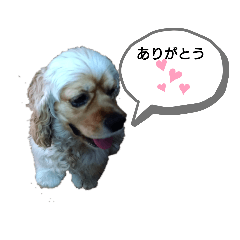 tomomi_20200607133543