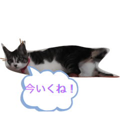 Haruna_20200607133034