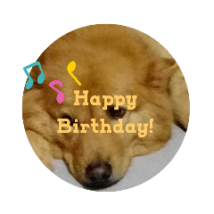 日常用語（狗狗）