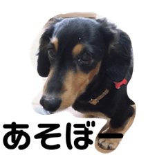 cherry_20200607124321