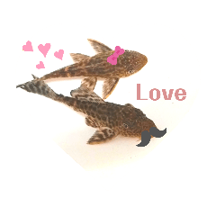 hikari_20200607143553