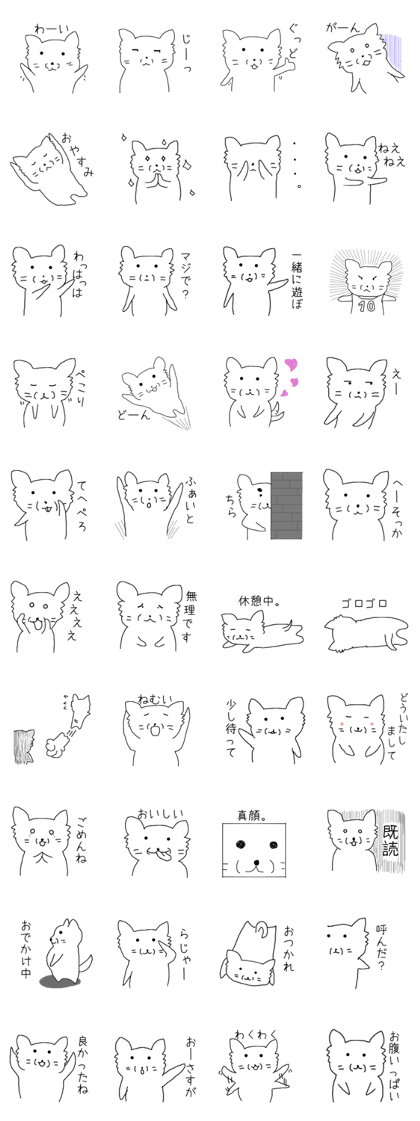 Round white dog