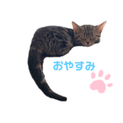 natsumi_20200607113510